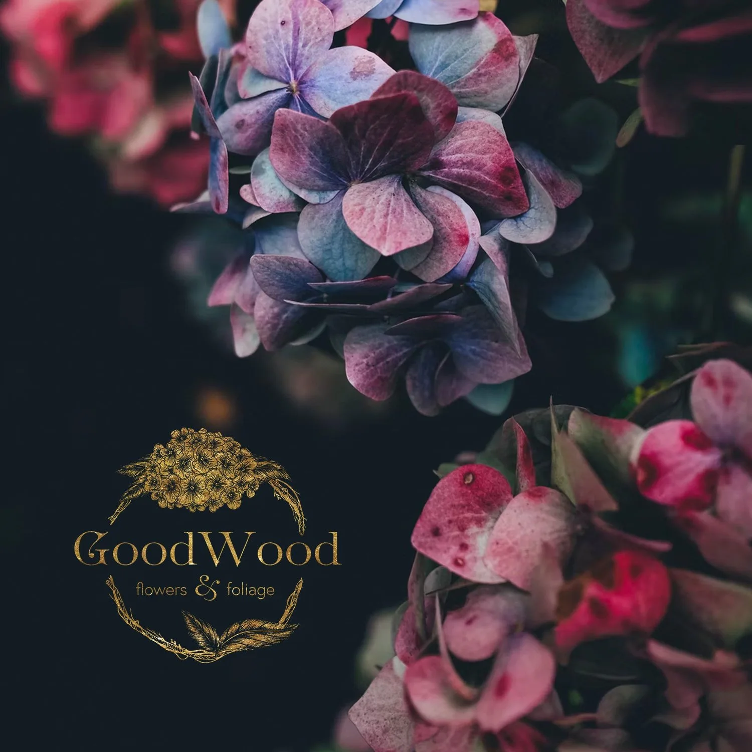 Hydrangea flowers above the Good Wood identity.